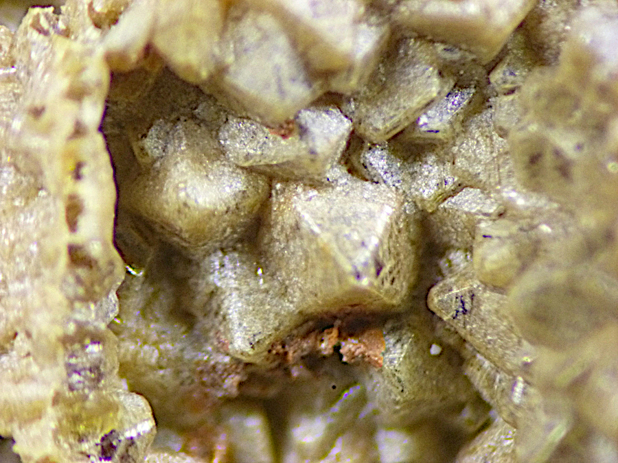 Powellite