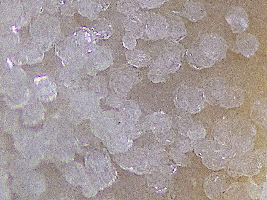 Parwanite
