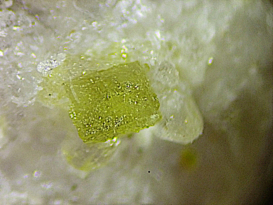 Pertlikite