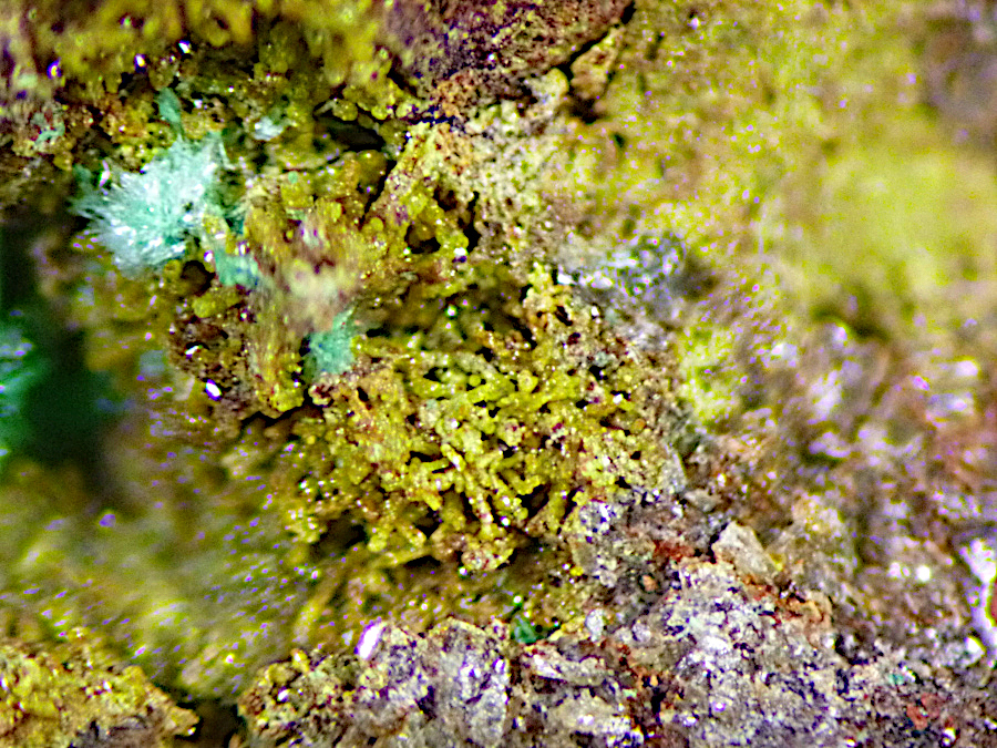Beaverite-(Cu)