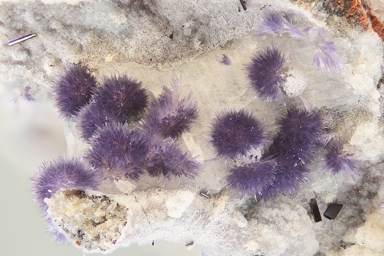 Mullite & Pseudobrookite