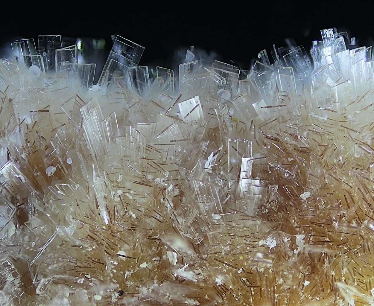 Ferrierite-Mg