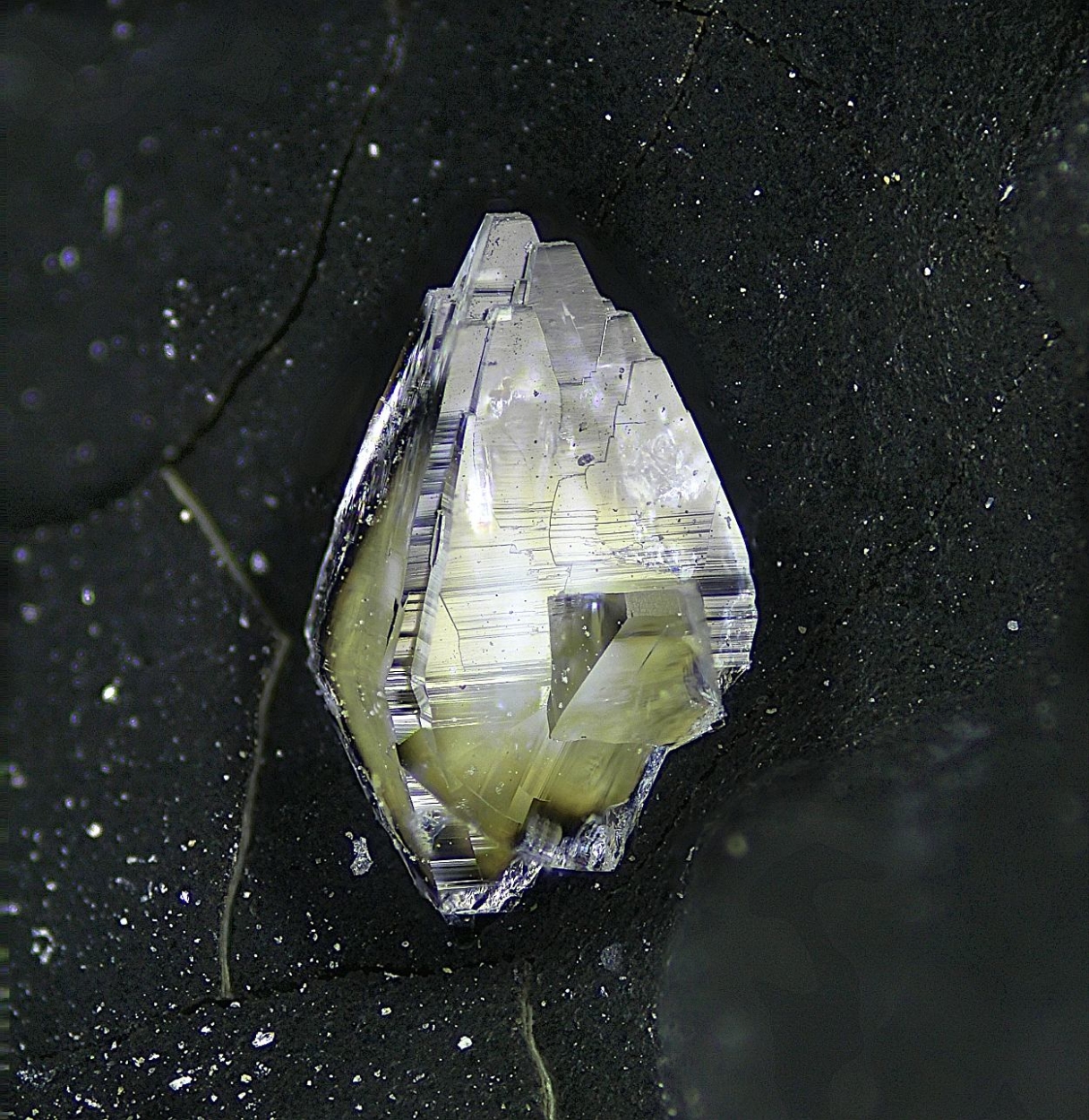 Tschernichite