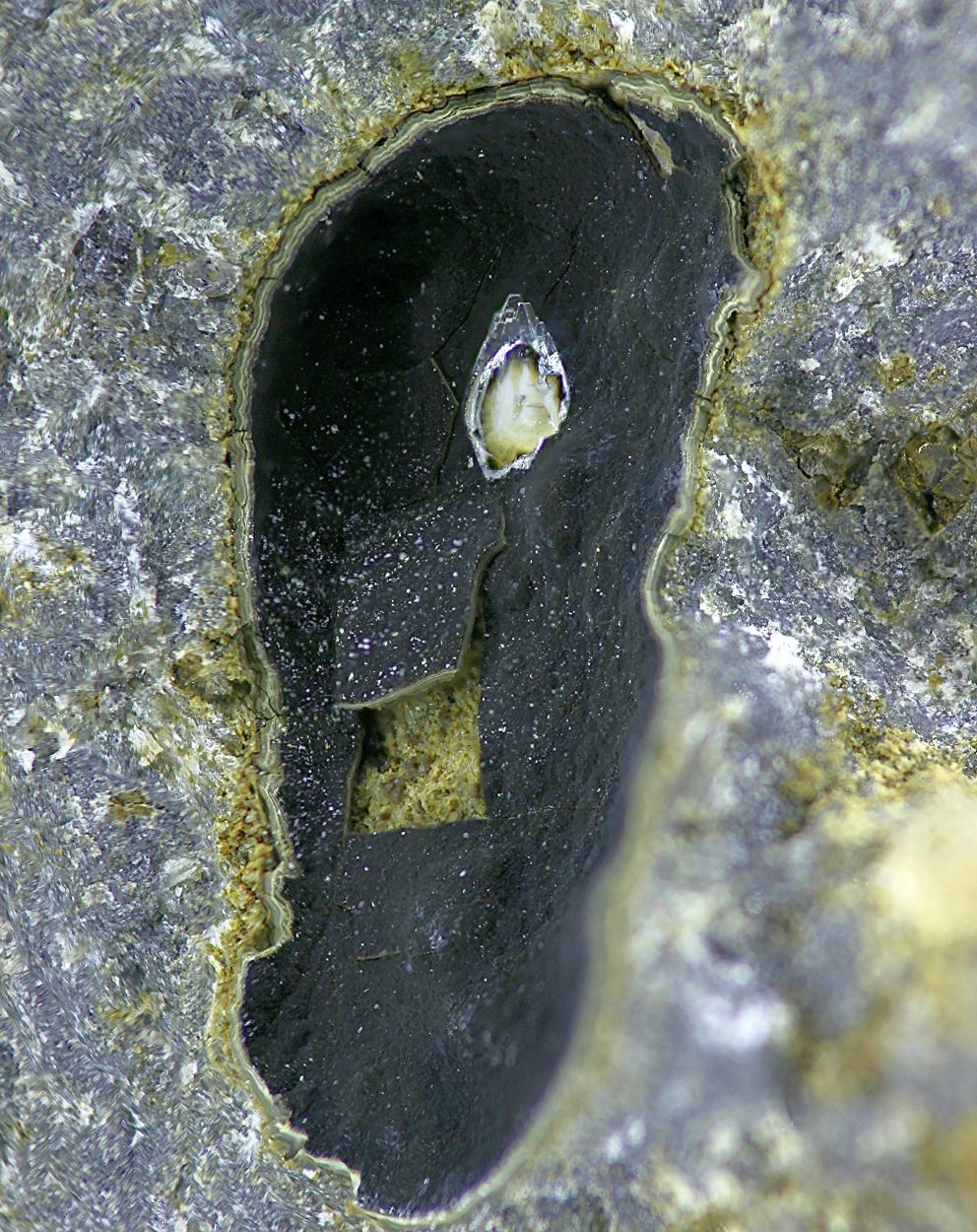 Tschernichite