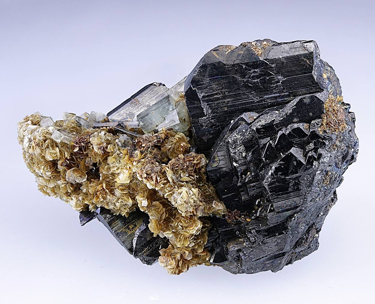 Ferberite Fluorapatite Muscovite & Quartz