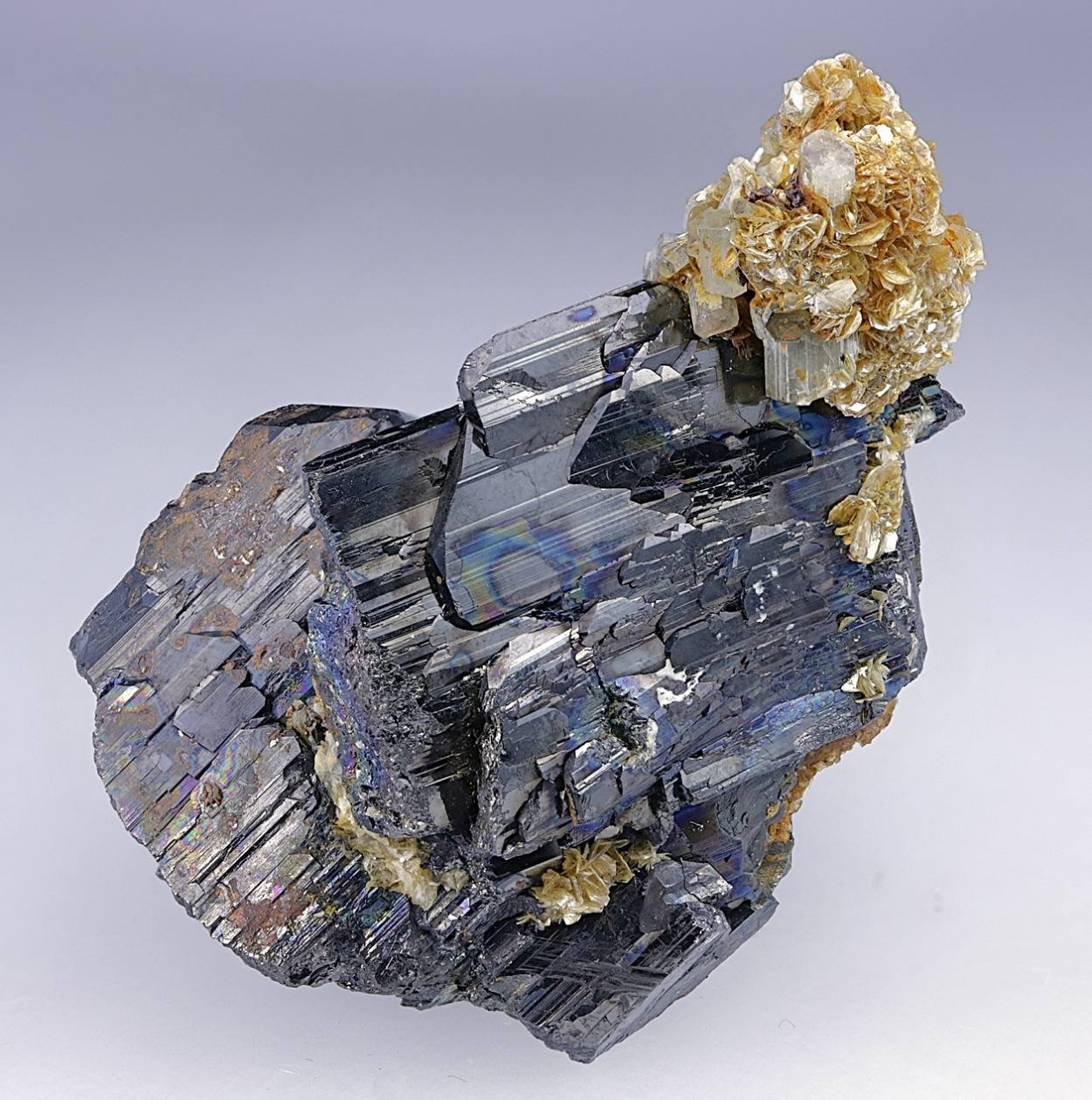 Ferberite Fluorapatite Muscovite & Quartz