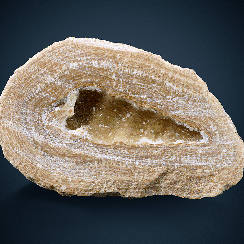 Calcite Psm Fossil