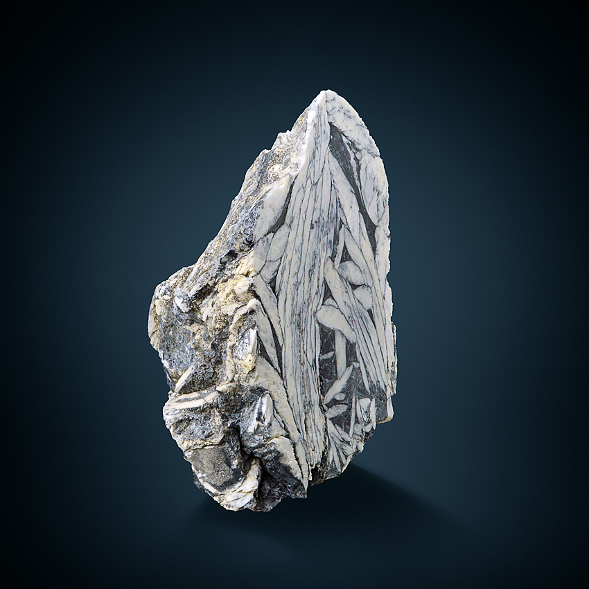 Magnesite & Graphite Var Pinolite