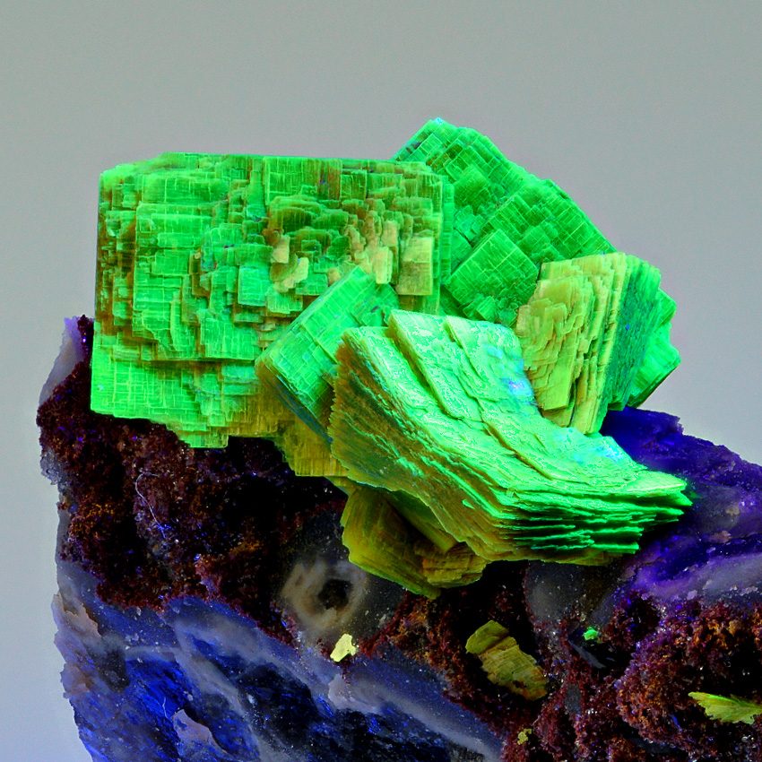 Uranocircite