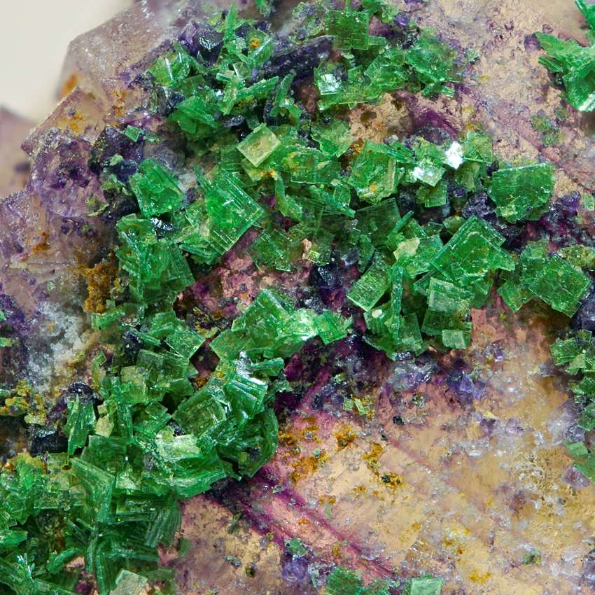 Metazeunerite On Fluorite
