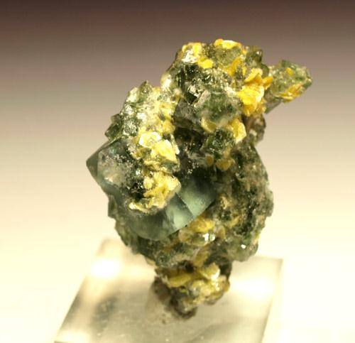 Fluorite & Muscovite