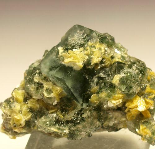 Fluorite & Muscovite