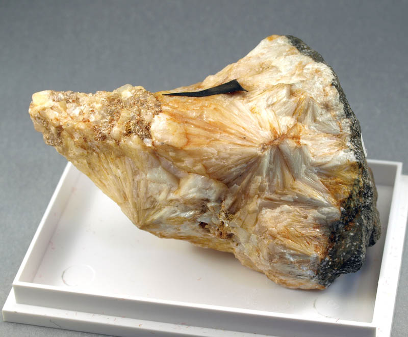 Tainiolite On Danburite