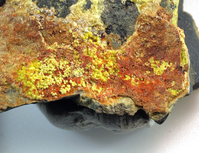 Umohoite On Uranophane-β