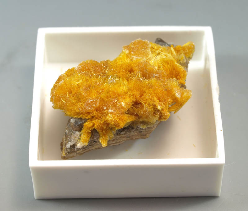Boltwoodite