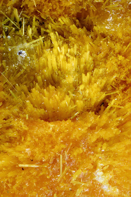 Boltwoodite