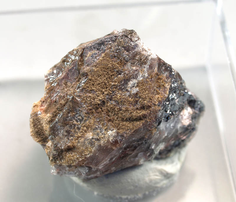 Balestraite