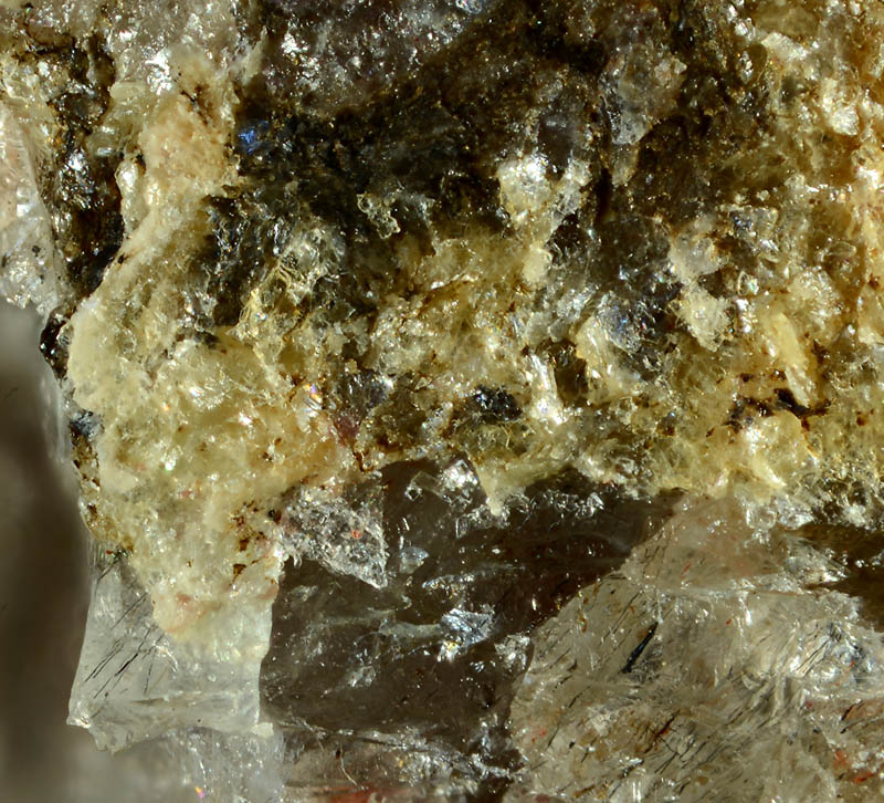 Balestraite