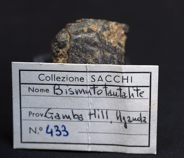 Bismutotantalite