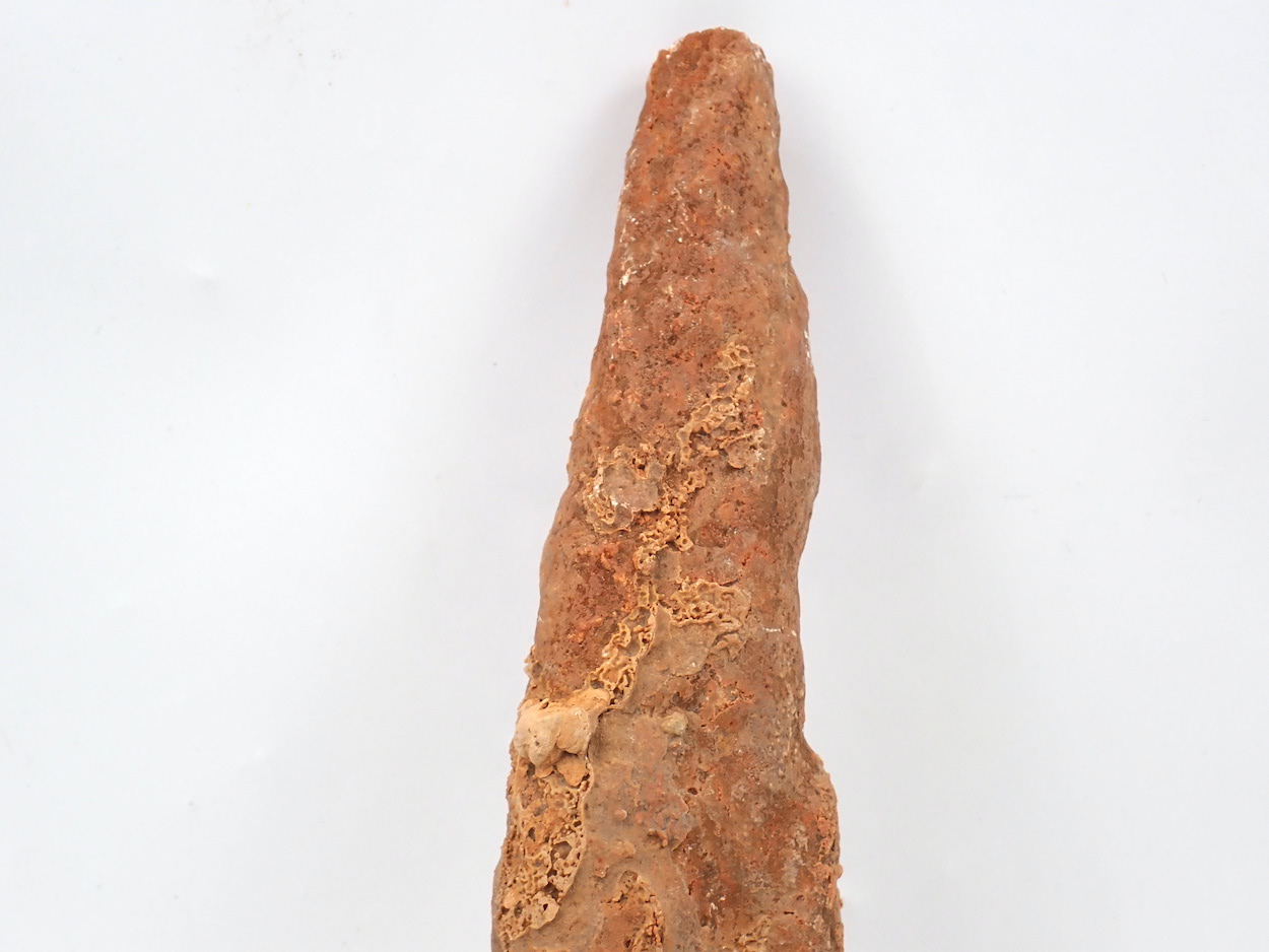 Aragonite Var Stalactite