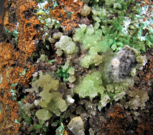 Gaspéite With Annabergite
