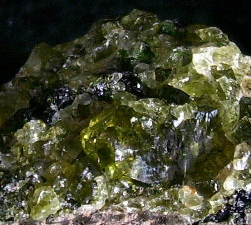 Peridot