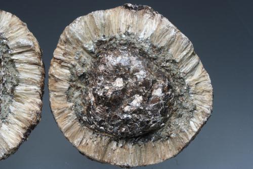 Anthophyllite Var Hermanov Sphere