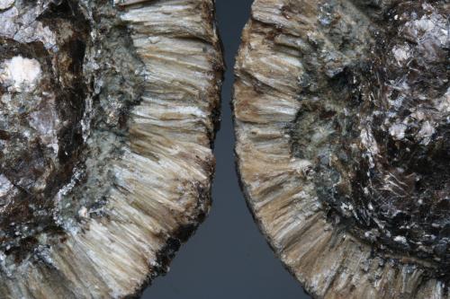 Anthophyllite Var Hermanov Sphere