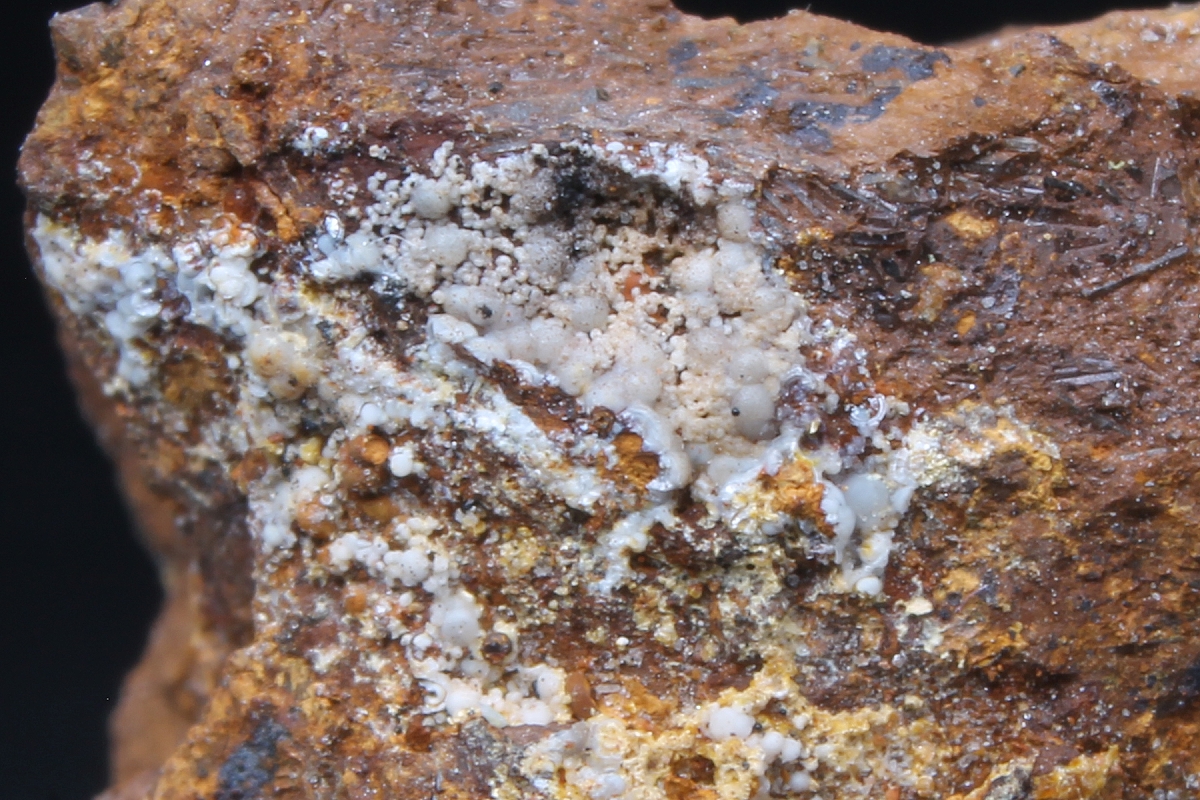 Matulaite