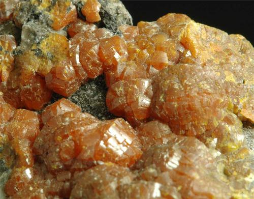 Campylite