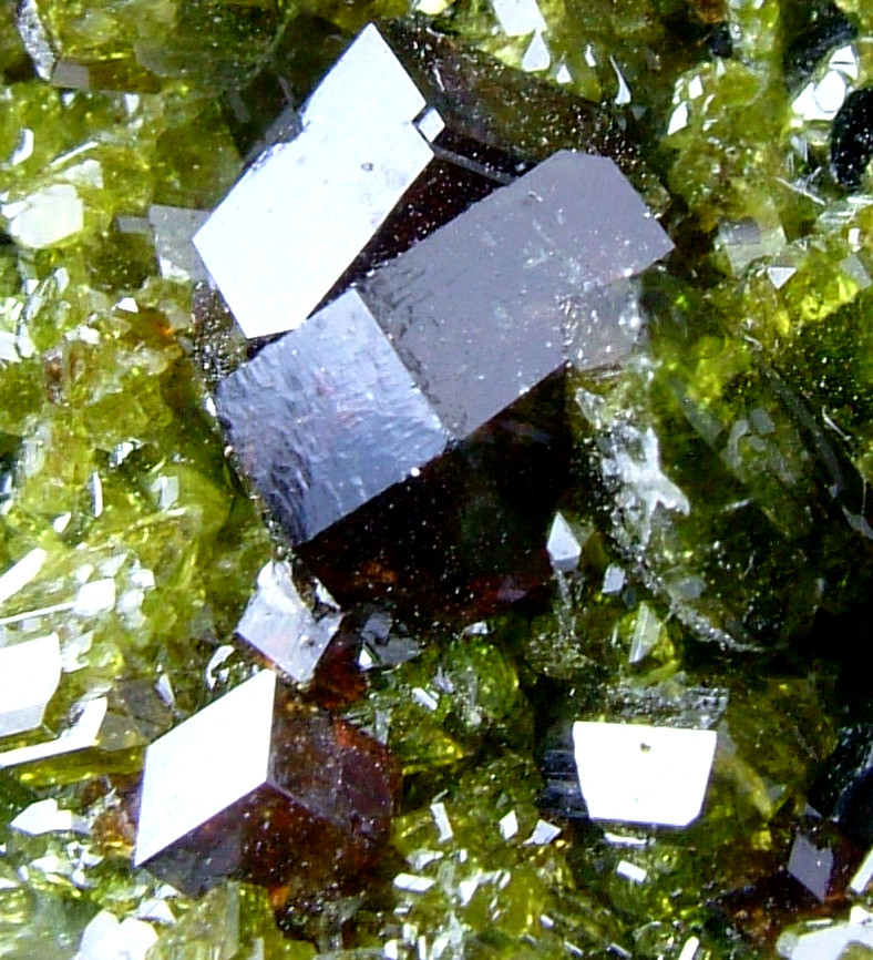 Andradite With Diopside Epidote & Clinochlore