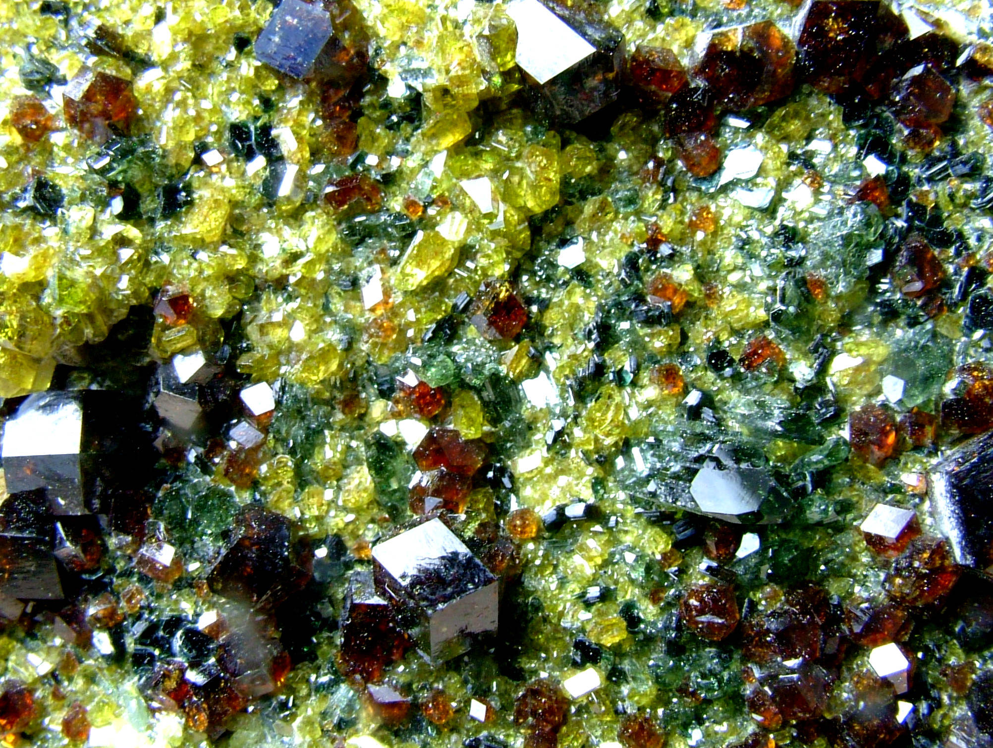 Andradite With Diopside Epidote & Clinochlore