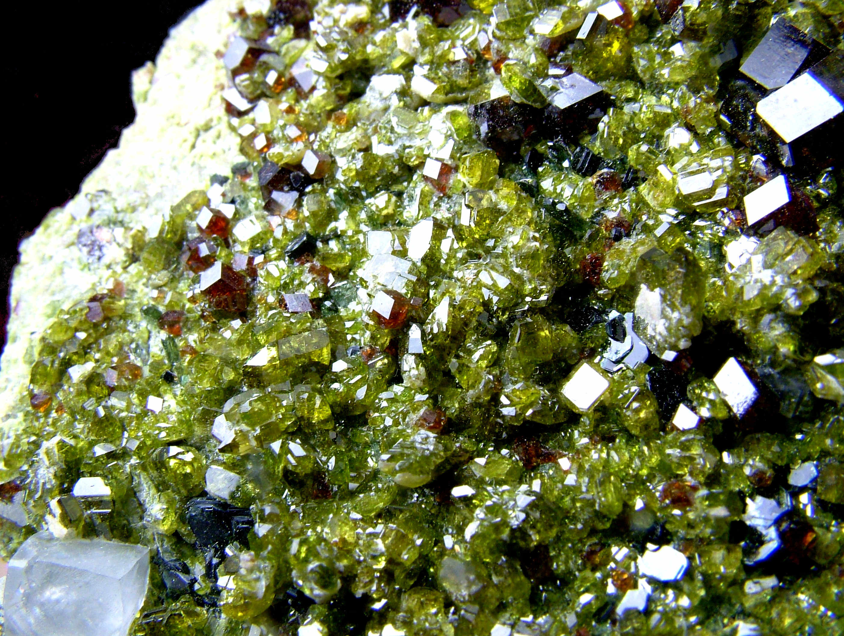 Andradite With Diopside Epidote & Clinochlore
