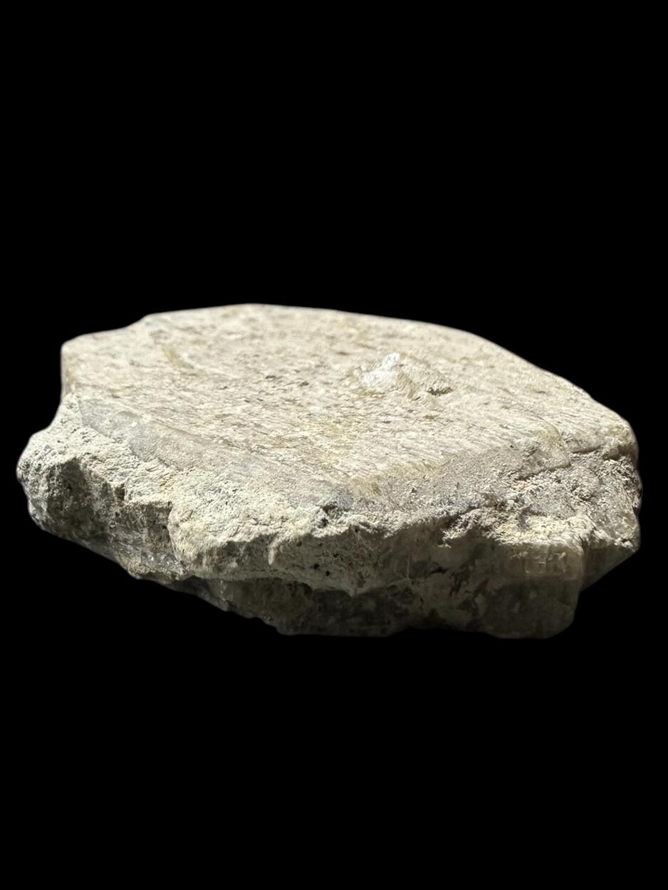 Sanidine