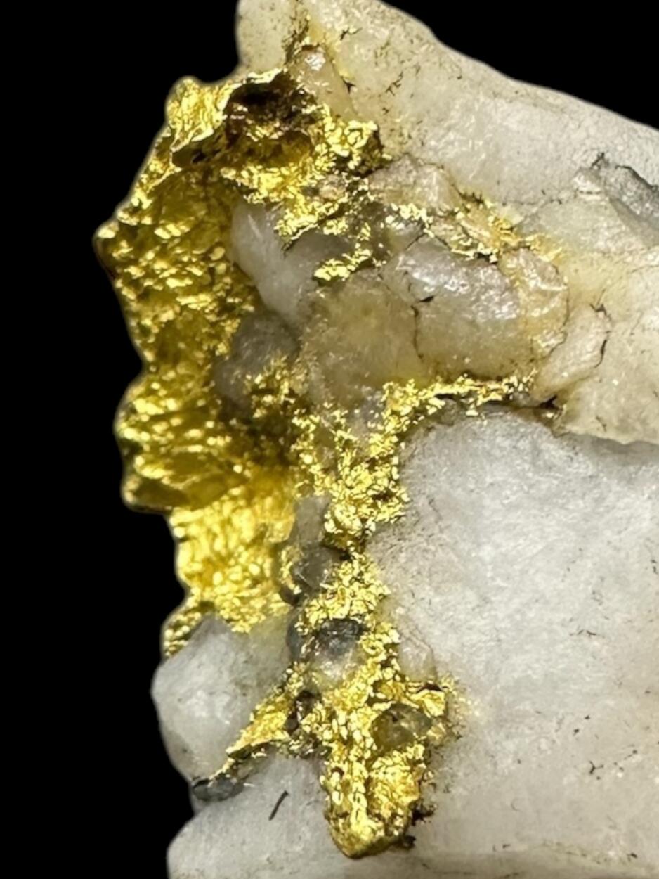 Gold