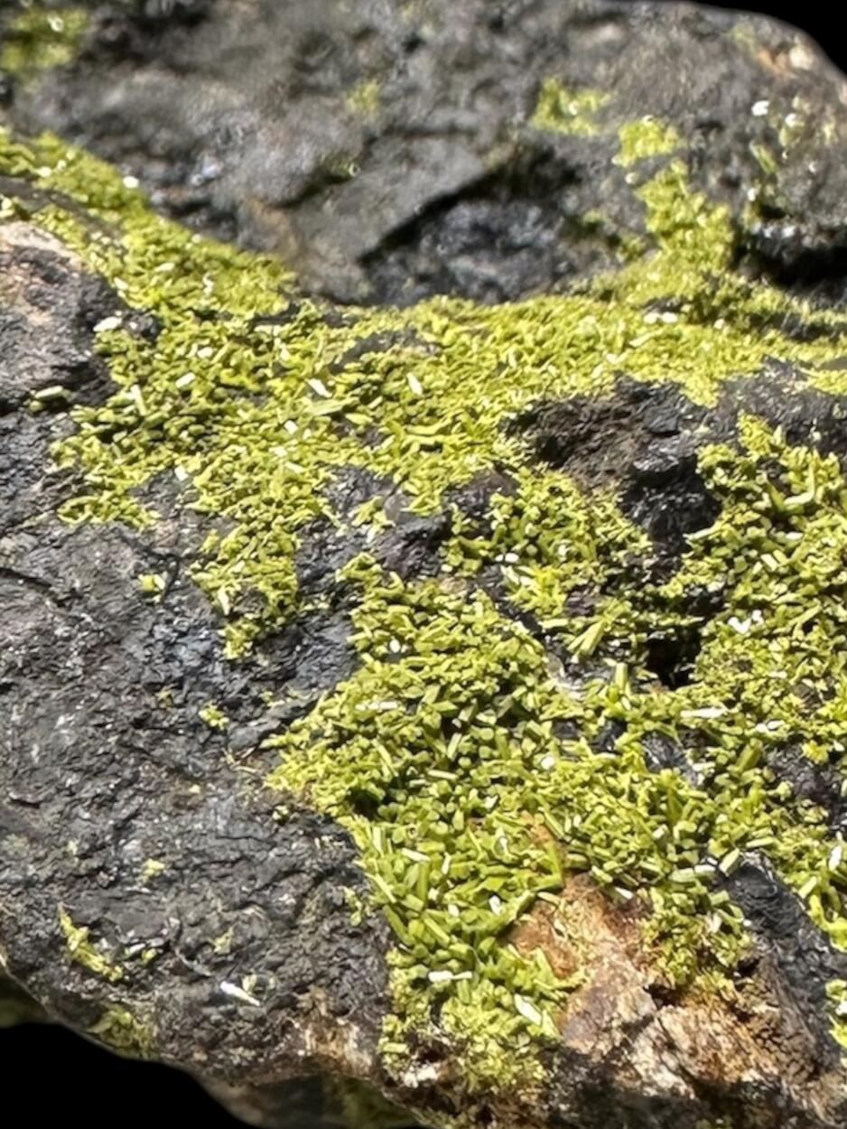 Pyromorphite