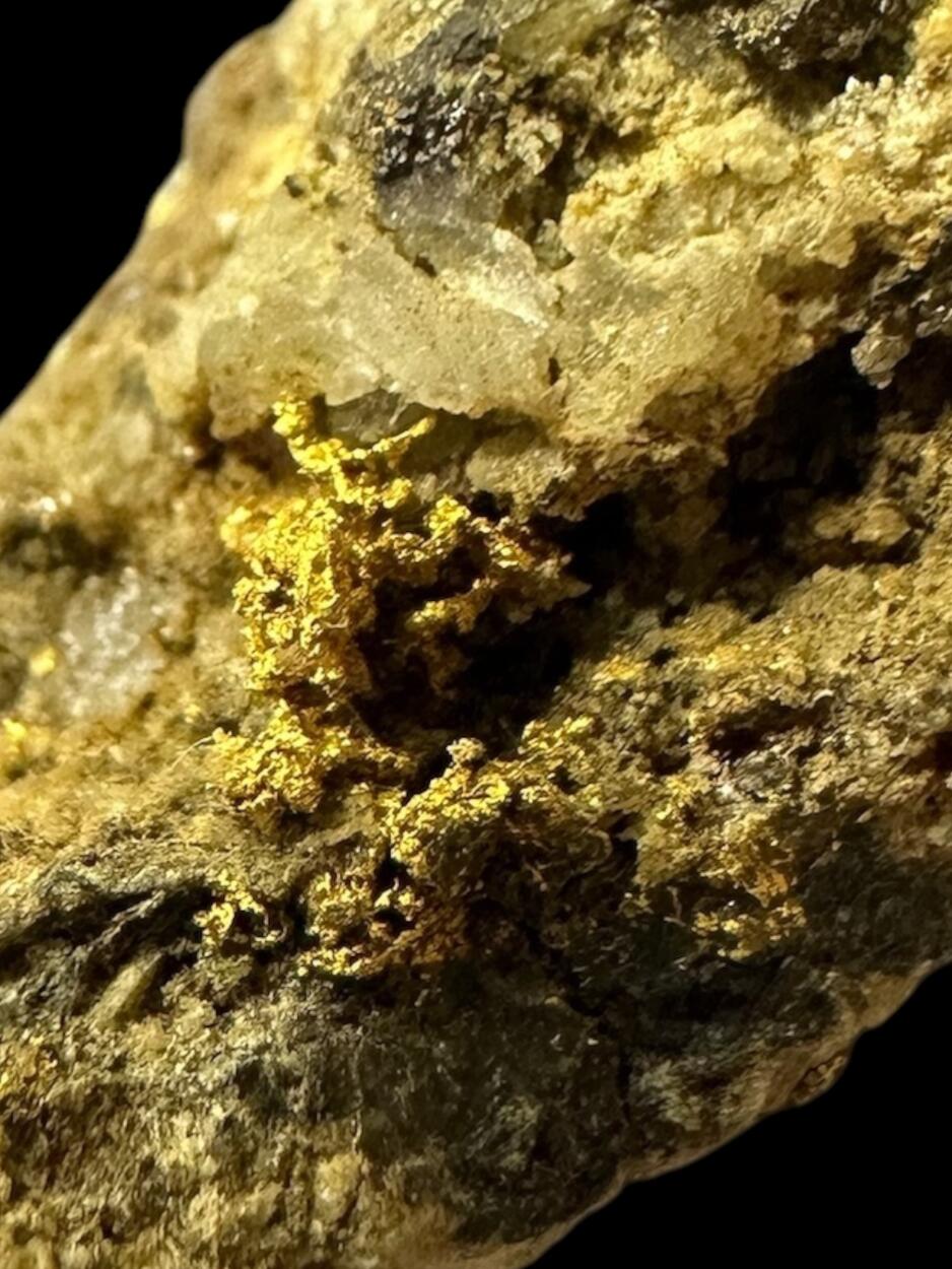 Gold