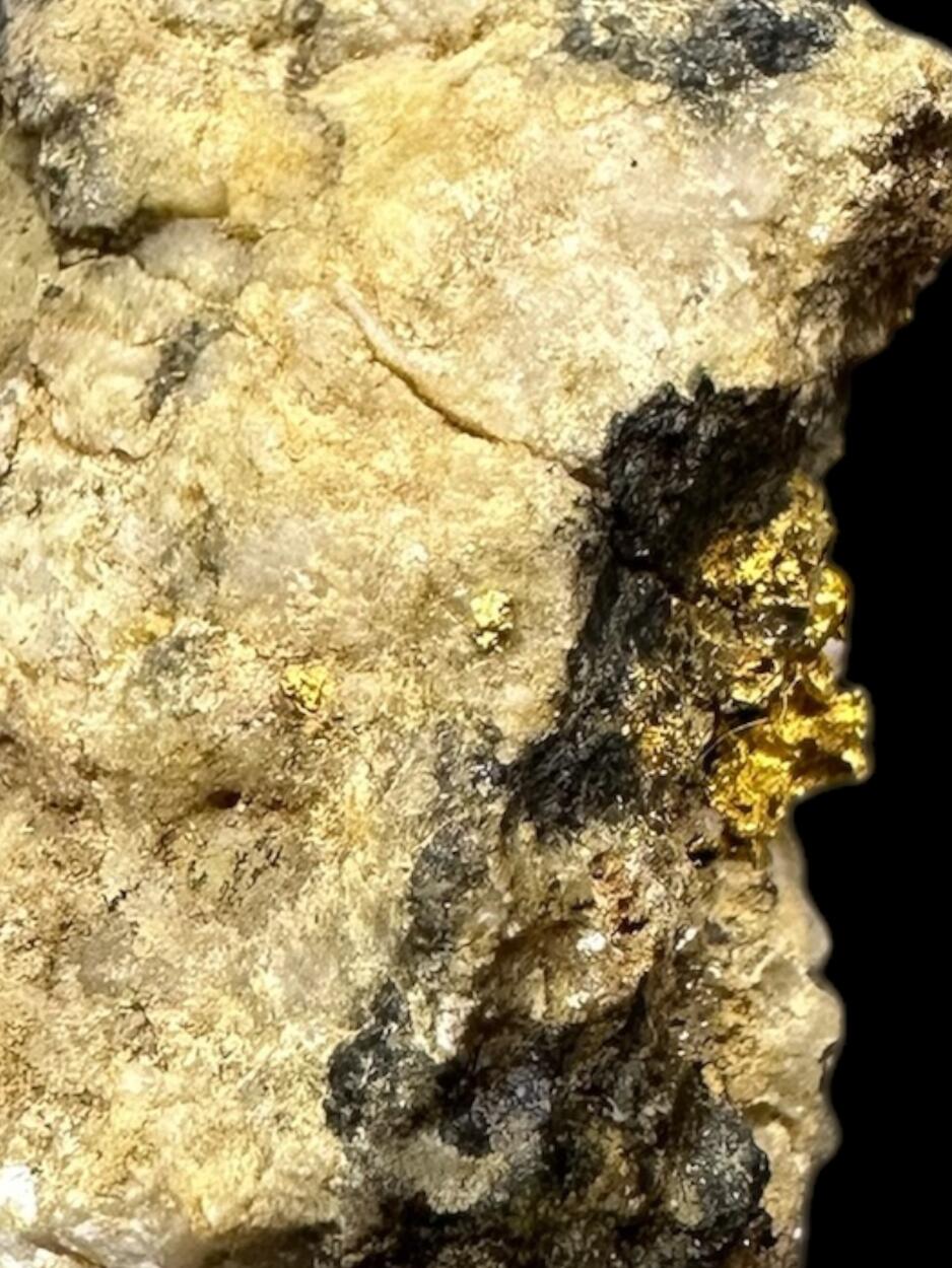 Gold