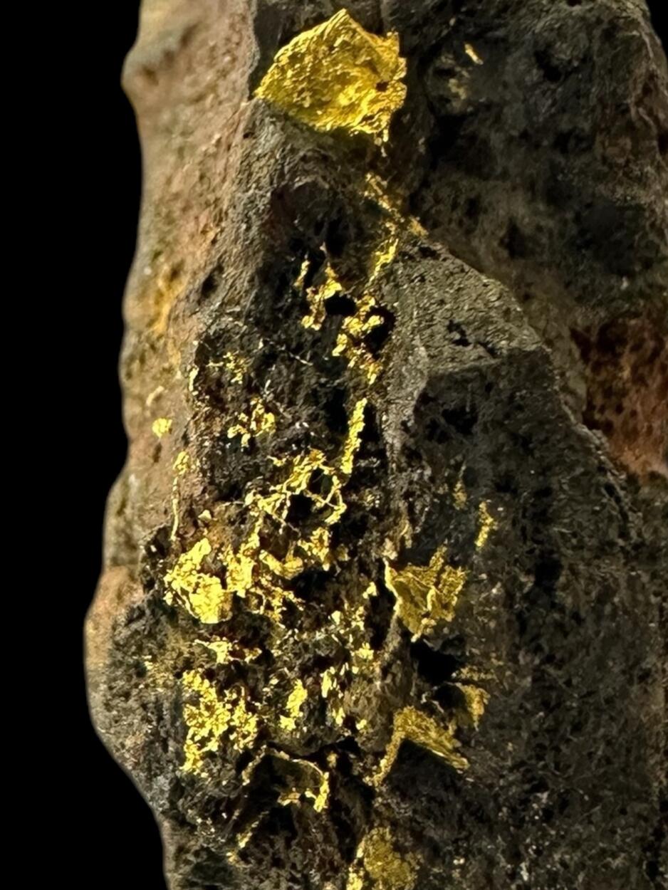 Gold