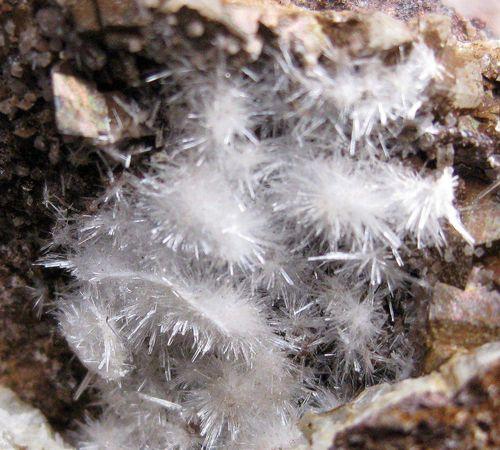 Aragonite & Siderite