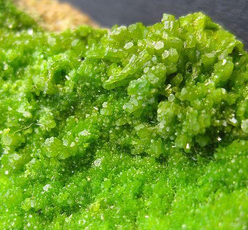 Pyromorphite