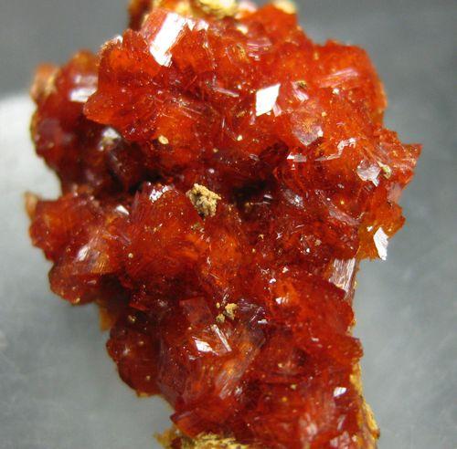 Botryogen