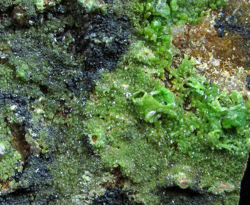 Pyromorphite On Quartz