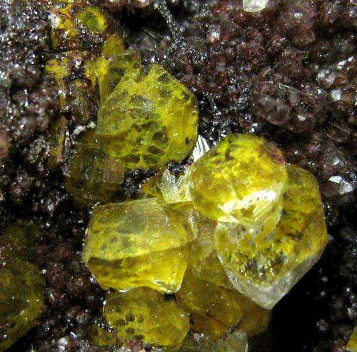 Quartz Var Eisenkiesel Psm Fossil Archaea Bacteria Gold Fossil Fungi Mycelium