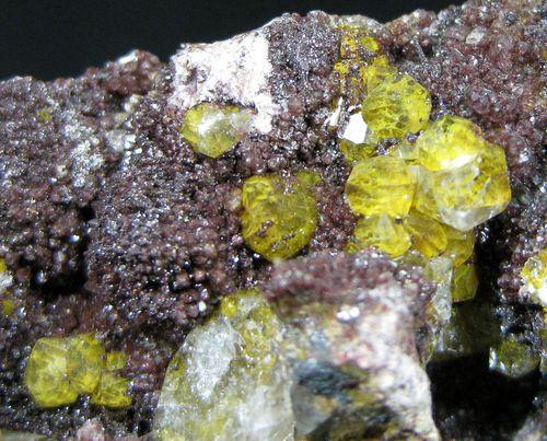 Quartz Var Eisenkiesel Psm Fossil Archaea Bacteria Gold Fossil Fungi Mycelium