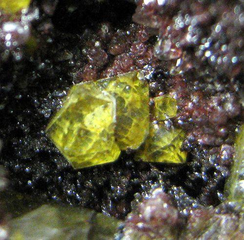 Quartz Var Eisenkiesel Psm Fossil Archaea Bacteria Gold Fossil Fungi Mycelium