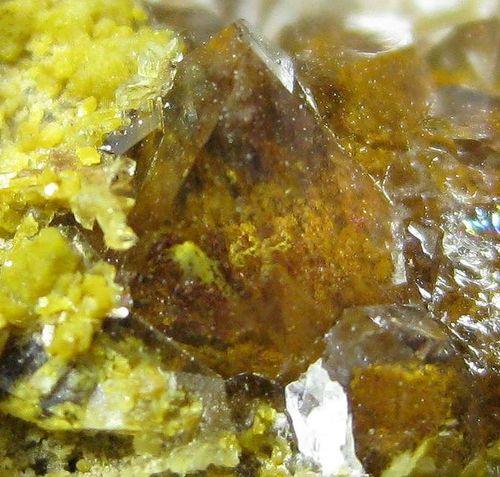 Quartz Var Eisenkiesel Psm Fossil Archaea Bacteria Gold Fossil Fungi Mycelium