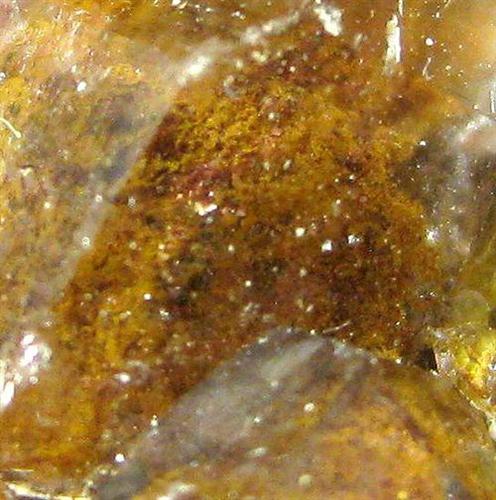 Quartz Var Eisenkiesel Psm Fossil Archaea Bacteria Gold Fossil Fungi Mycelium