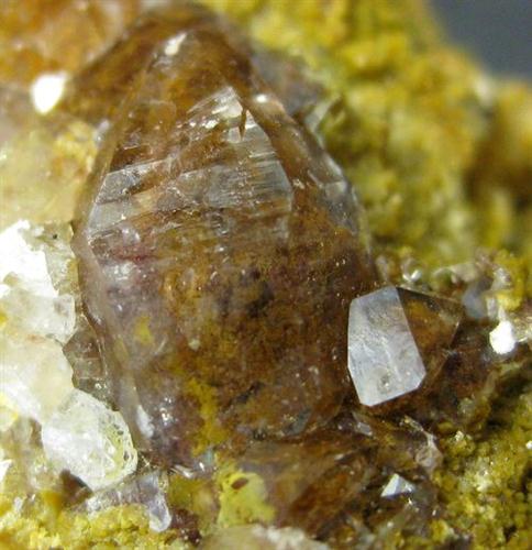 Quartz Var Eisenkiesel Psm Fossil Archaea Bacteria Gold Fossil Fungi Mycelium