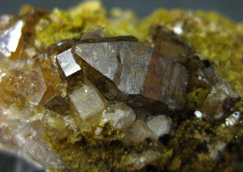 Quartz Var Eisenkiesel Psm Fossil Archaea Bacteria Gold Fossil Fungi Mycelium